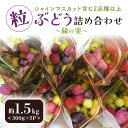 【ふるさと納税】期間限定 数量限定 粒ぶどう詰め合わせ〜縁の実〜 約1.5kg (シャインマスカット含む2品種以上) 食べくらべ 食べ比べ ぶどう ブドウ セッ...