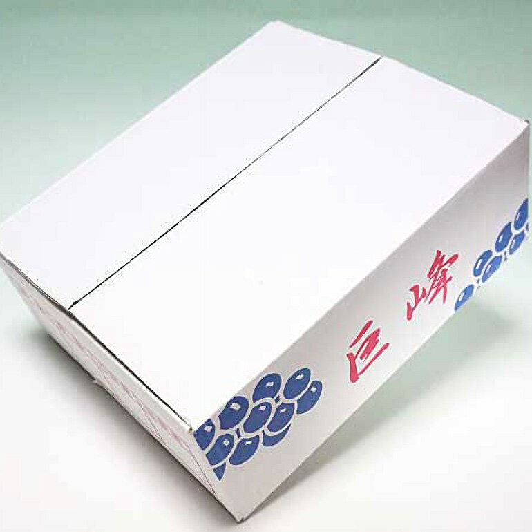 【ふるさと納税】【数量限定・先行予約】 巨峰 約1.5kg（種あり） 《8月20日〜9月30日発送予定》 ぶどう ブドウ 葡萄 果物 くだもの フルーツ (茨城県共通返礼品 石岡市) 67-E