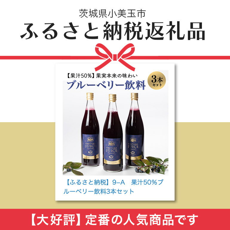 【ふるさと納税】果汁50％ブルーベリー飲料3本セット ブルーベリー ブルーベリー飲料 フルーツ 果物 フルーツジュース ジュース ビタミンE アントシアニン 栄養 目にいい 健康 美容 瞳の健康 ギフト 贈り物 茨城県産 人気 プレゼント セット ドリンク 9−A