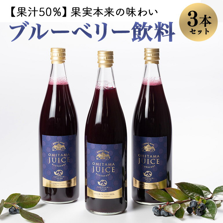 12位! 口コミ数「0件」評価「0」果汁50％ブルーベリー飲料3本セット ブルーベリー ブルーベリー飲料 フルーツ 果物 フルーツジュース ジュース ビタミンE アントシアニン･･･ 