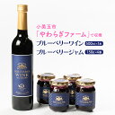 【ふるさと納税】小美玉ブルーベリーワイン1本&ブルーベリージャム4個セット ブルーベリー ワイン ブルーベリーワイン ジャム ブルーベリージャム フルーツ 果物...