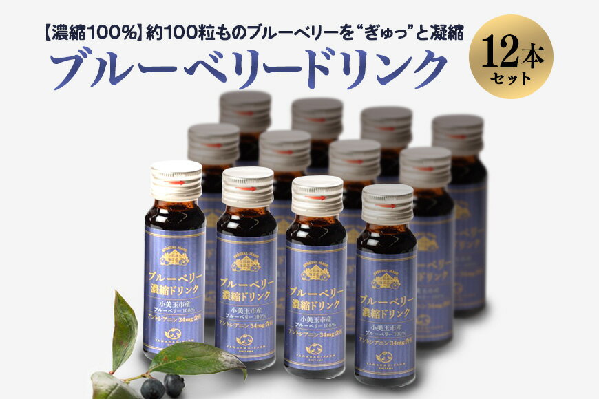 33位! 口コミ数「0件」評価「0」濃縮100％ブルーベリードリンク ブルーベリー ブルーベリー飲料 フルーツ 果物 フルーツジュース ジュース ビタミンE アントシアニン 栄･･･ 