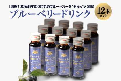 濃縮100％ブルーベリードリンク ブルーベリー ブルーベリー飲料 フルーツ 果物 フルーツジュース ジュース ビタミンE アントシアニン 栄養 目にいい 健康 美容 瞳の健康 ギフト 贈り物 茨城県産 人気 プレゼント セット ドリンク 濃厚 濃縮 9－E