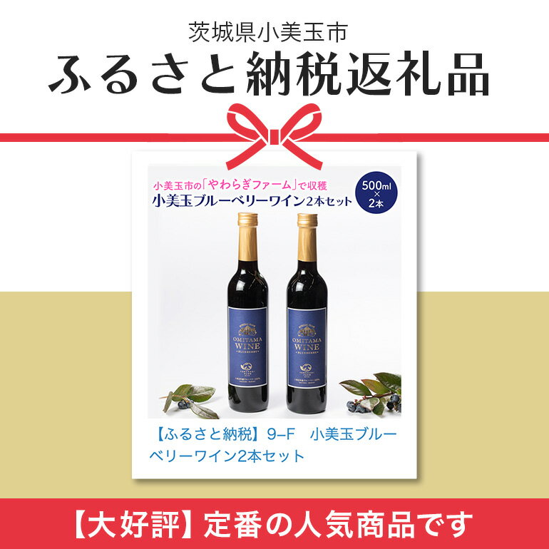 【ふるさと納税】小美玉ブルーベリーワイン2本セット ブルーベリー ワイン ブルーベリーワイン フルーツ 果物 ビタミンE アントシアニン 栄養 目にいい 健康 美容 ギフト 贈り物 茨城県産 プレゼント セット お酒 美味しい お祝い 9−F