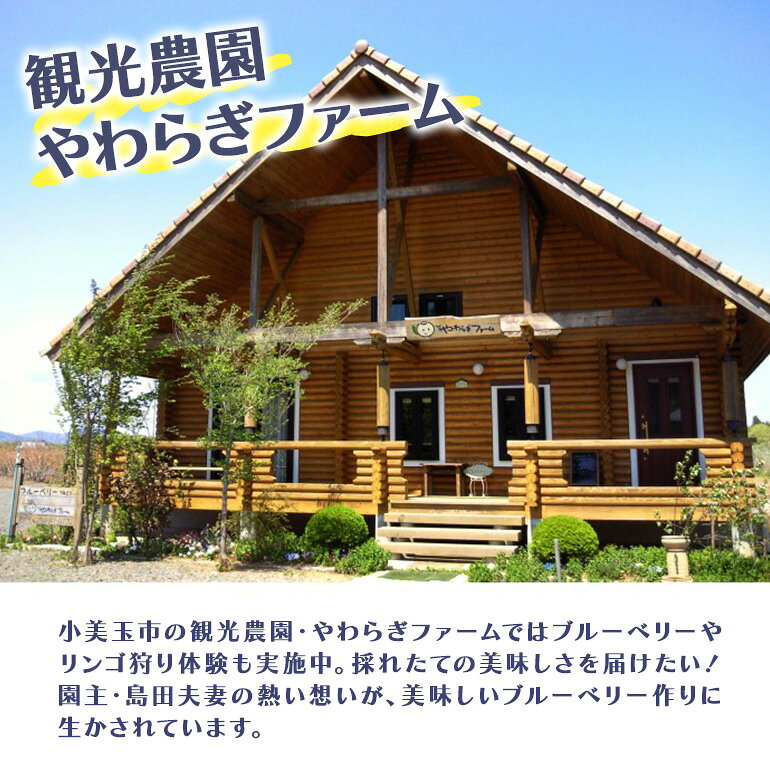 【ふるさと納税】果汁50％ブルーベリー飲料2本＆ブルーベリージャム3個セット ブルーベリー ジュース ジャム ブルーベリージャム ブルーベリージュース フルーツ ビタミンE ドリンク 栄養 ギフト 贈り物 茨城県産 セット 詰め合わせ お祝い 美味しい 9−G f082368-omitama-10000086 茨城県小美玉市 サンプル画像3