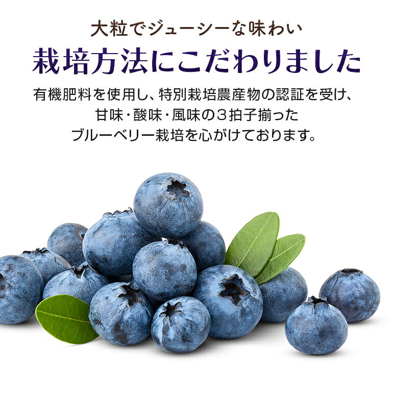 【ふるさと納税】朝採り生ブルーベリー 800g（100g×8） 大粒 小分け 有機肥料 特別栽培 国産 茨城県産 冷蔵 朝採れ 朝どり 朝どれ 生果 ブルーベリー フルーツ 果物 くだもの とれたて 新鮮 ぶるーべりー 【6月中旬〜7月以降発送予定】