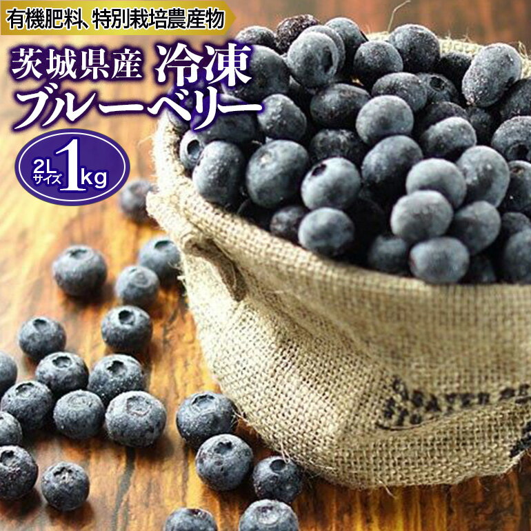 9位! 口コミ数「6件」評価「4.33」冷凍ブルーベリー 1kg 茨城県産 国産 無農薬 有機栽培 有機肥料 特別栽培 1キロ 冷凍 送料無料 ブルーベリージャム フルーツ 果物 ･･･ 