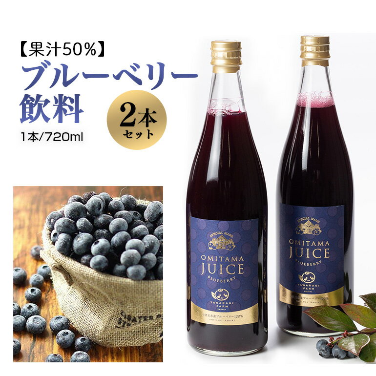 果汁50%ブルーベリー飲料2本セット ブルーベリー ブルーベリー飲料 フルーツ 果物 フルーツジュース ジュース ビタミンE アントシアニン 栄養 目にいい 健康 美容 瞳の健康 ギフト 贈り物 茨城県産 人気 プレゼント セット ドリンク 9-L