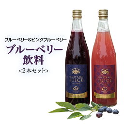 【ふるさと納税】果汁50％ピンクブルーベリー飲料1本、果汁50％ブルーベリー飲料1本（化粧箱入り） ブルーベリー ブルーベリー飲料 ピンクブルーベリー フルーツ 果物 ジュース ビタミンE アントシアニン 目にいい 健康 美容 ギフト 贈り物 茨城県産 セット ドリンク 9－P