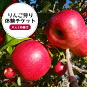 【ふるさと納税】りんご狩り体験チケット(大人2名様分) りんご りんご狩り フルーツ 果物 フルーツ狩り チケット 体験 リンゴ ジュース 健康 美容 ギフト ...