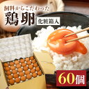 19位! 口コミ数「1件」評価「4」鶏卵60ヶ入り化粧箱 鶏卵 60個 化粧箱入り 卵 生卵 60ヶ たまご タマゴ 玉子 国産 茨城県産 健康 美容 ご飯 すき焼き 目玉焼き･･･ 