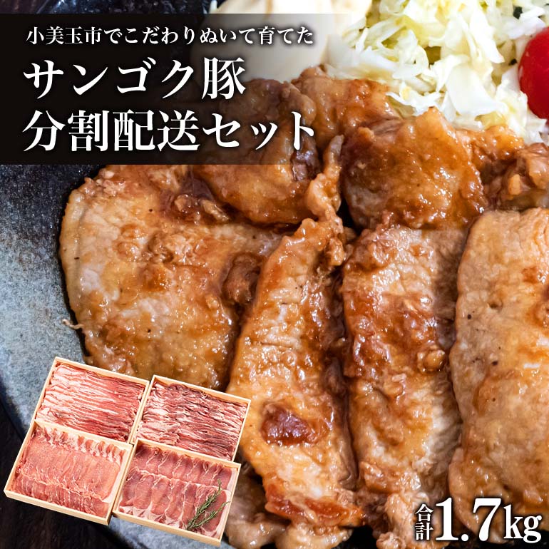 サンゴク豚(分割配送セット) 合計1.7kg(850g×2回)[定期便] しゃぶしゃぶ 焼き肉 豚肉 豚バラ肉 ロース 小分け 真空パック 豚しゃぶ しゃぶしゃぶ肉 焼肉用 お鍋用 ブタ肉 国産 茨城県産 ギフトプレゼント 高級部位 2-A