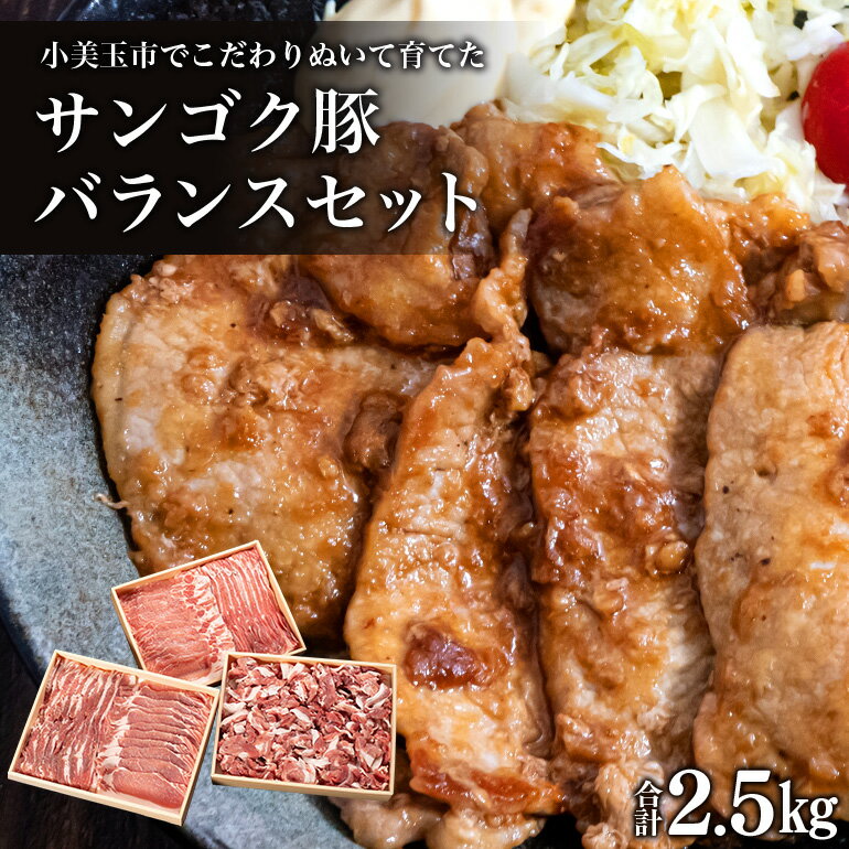 サンゴク豚(バランスセット) 合計2.5kg しゃぶしゃぶ 焼き肉 豚肉 豚バラ肉 ロース 小分け 真空パック しゃぶしゃぶ肉 焼肉用 お鍋用 ブタ肉 国産 茨城県産 ギフト プレゼント 高級部位 2-B
