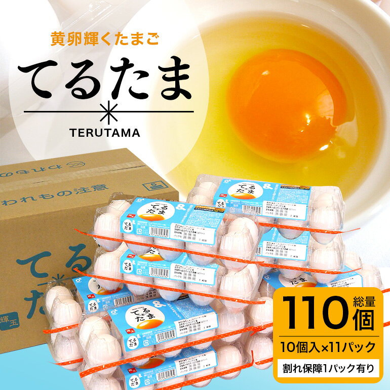 てるたま 10個入×11パック（割れ保障1パックサービス）てるたま 新鮮 鶏卵 玉子 卵かけご飯 卵かけごはん たまごかけご飯 卵焼き たまご焼き 玉子焼き 目玉焼き ゆで卵 栄養 22-J
