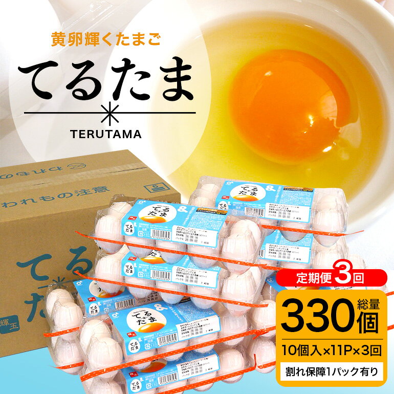 3か月定期 てるたま 10個入×11パック（割れ保障1パックサービス）てるたま 新鮮 鶏卵 玉子 卵かけご飯 卵かけごはん たまごかけご飯 卵焼き たまご焼き 玉子焼き 目玉焼き ゆで卵 栄養 22-K
