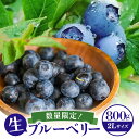 【ふるさと納税】【アイの玉】毎日!朝摘み生ブルーベリー(2L) 数量限定 期間限定 ブルーベリー フルーツ 果物 くだもの 冷蔵 大粒 新鮮 生果 国産 73-A 【2025年6月15日より順次発送予定・7月31日に受付終了】