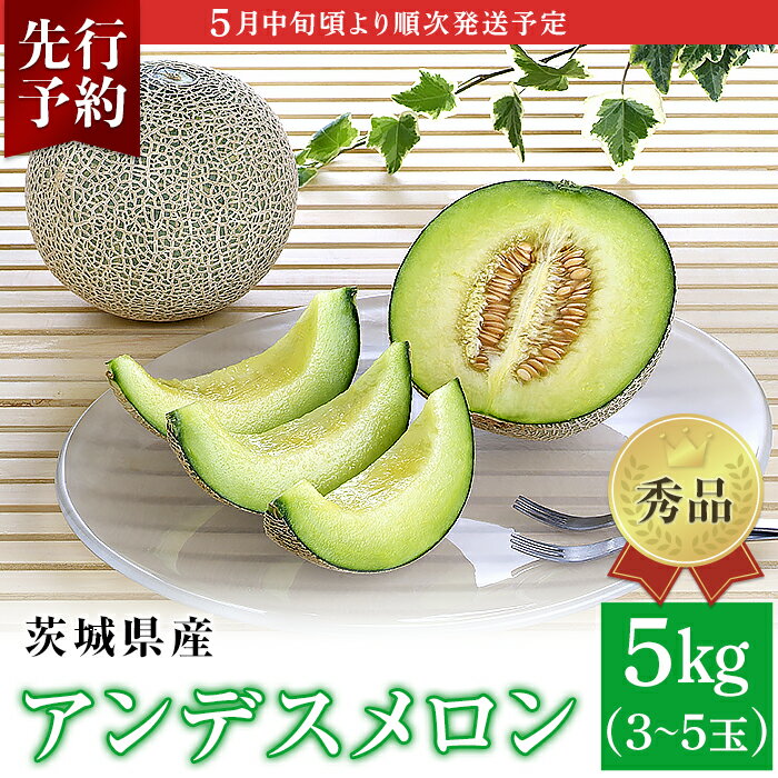 082-1茨城県産アンデスメロン[秀品]約5kg(3~5玉)