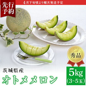 【ふるさと納税】082-2茨城県産オトメメロン【秀品】5kg（3~5玉）