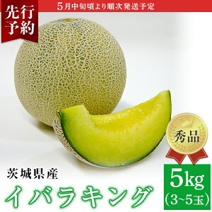 【ふるさと納税】フルーツ 先行予約 メロン 茨城 秀品 082-3茨城県産イバラキング【秀品】約5kg（3~5玉）