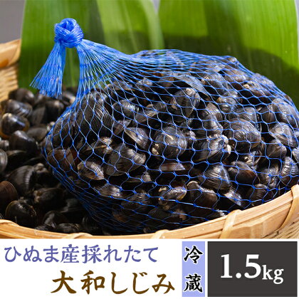 118ひぬま産採れたて大和しじみ【冷蔵】1.5kg