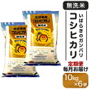 【ふるさと納税】160 【6ヵ月連続お届け】茨城県産無洗米コシヒカリ10kg