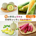 22位! 口コミ数「1件」評価「2」野菜 フルーツ 定期便 4回 お楽しみ 野菜ボックス 162 定期便 果物 フルーツ 野菜 茨城町 旬 年に4回 お届け お楽しみ メロン ･･･ 