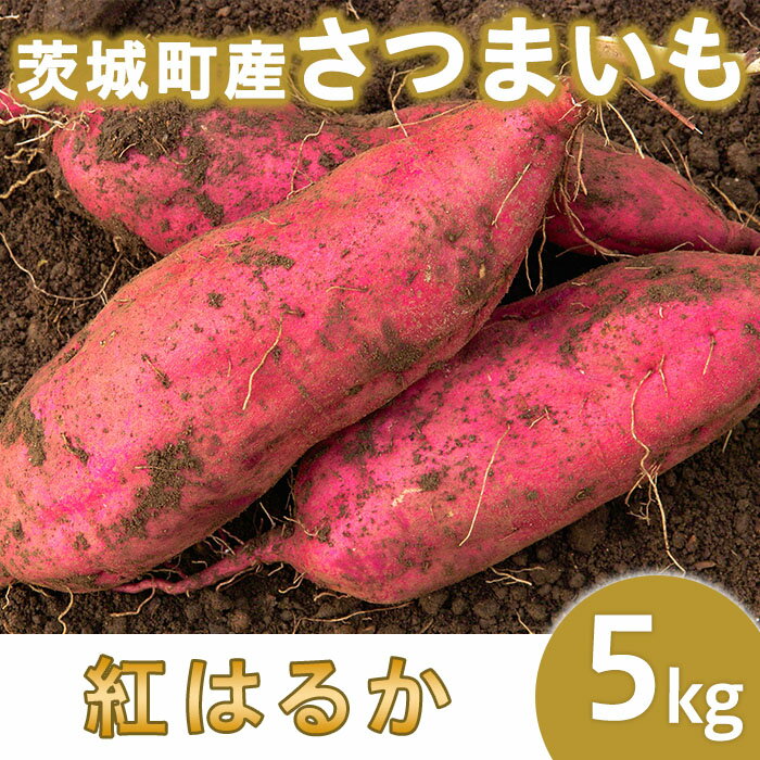 じゃがいも・サツマイモの返礼品 | ふるさと納税バイブル じゃがいも・サツマイモの返礼品 | ふるさと納税バイブル