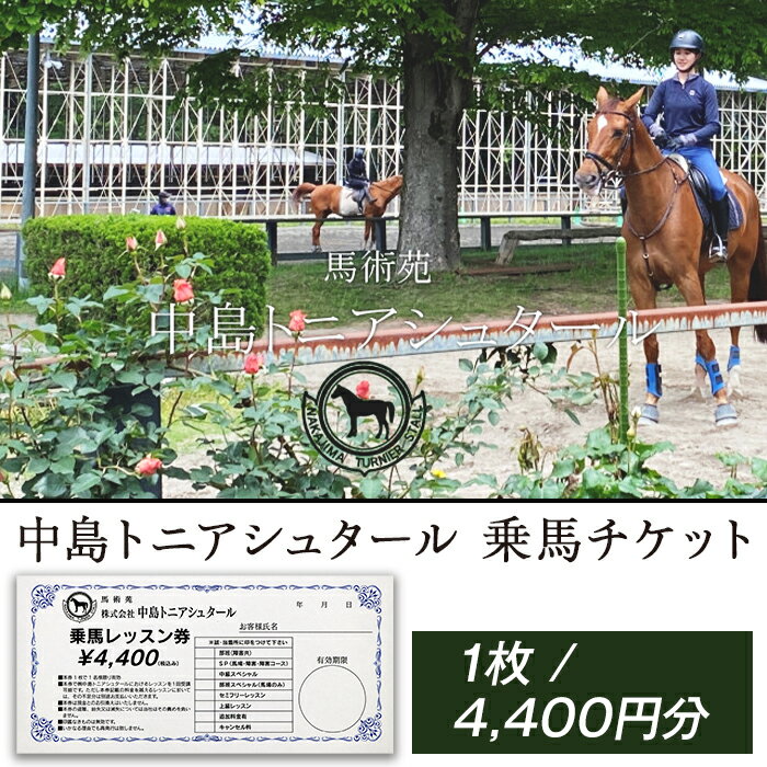 272中島トニアシュタール 乗馬チケット 1枚(4,400円分)