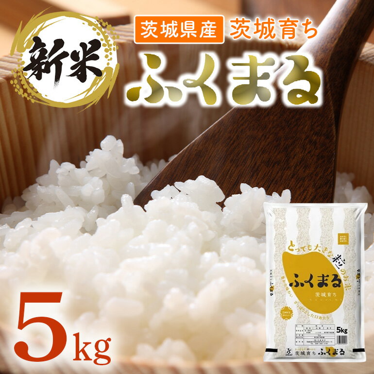 096[令和7年産]茨城県産 ふくまる 5kg[石崎商店]
