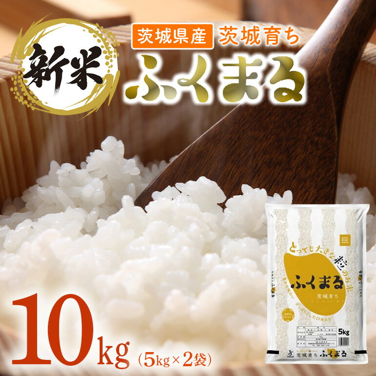 【ふるさと納税】米 10kg 令和5年 白米 193茨城県産ふくまる10kg（5kg×2袋）のサムネイル