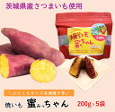 【ふるさと納税】631 焼き芋 蜜っちゃん 200g×5袋 茨城県産 冷凍焼き芋【住谷公商店】(4)