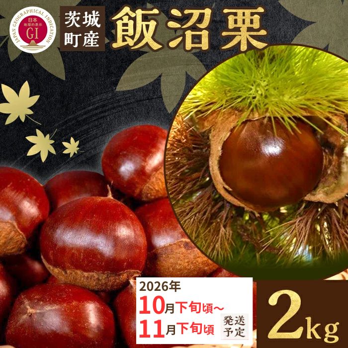 【ふるさと納税】飯沼栗 くり 高級 栗 数量限定 フルーツ 先行予約 029 飯沼栗 2kg 高級 茨城県 茨城町産 ブランド くり 希少 品種 数量 限定 先行予約 2026年10月下旬～11月下旬頃発送予定