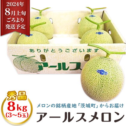 フルーツ 先行予約 メロン めろん 茨城 秀品 8kg 015茨城県JA水戸産アールスメロン【秀品】約8kg（3~5玉）【2024年8月上旬頃より順次発送予定】