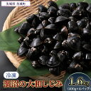 3位! 口コミ数「11件」評価「4.82」しじみ 小分け 真空 オルニチン しじみ汁 しじみご飯 しじみバター 054涸沼の大和しじみ【冷凍】1.6kg（400g×4パック）