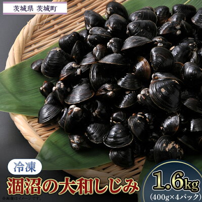 楽天ふるさと納税　【ふるさと納税】しじみ 小分け 真空 オルニチン しじみ汁 しじみご飯 しじみバター 054涸沼の大和しじみ【冷凍】1.6kg（400g×4パック）