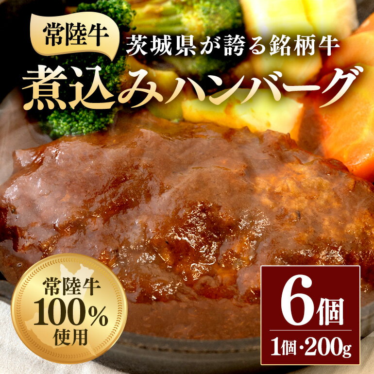 ハンバーグ 冷凍 煮込みハンバーグ 200g×6個 茨城県 ブランド牛 常陸牛 使用 520