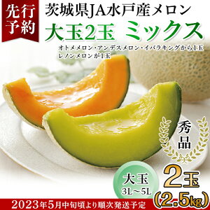 【ふるさと納税】フルーツ 先行予約 メロン 茨城 秀品 食べ比べ 214茨城県JA水戸産メロン【秀品】大玉2玉ミックス(2.5kg）【2023年5月中旬頃より発送予定】