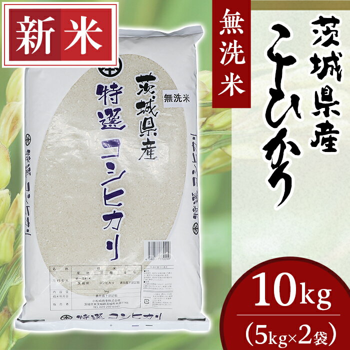 【ふるさと納税】米 無洗米 10kg 令和4年 新米 252茨城県産こしひかり【無洗米】10kg（小松崎商事）