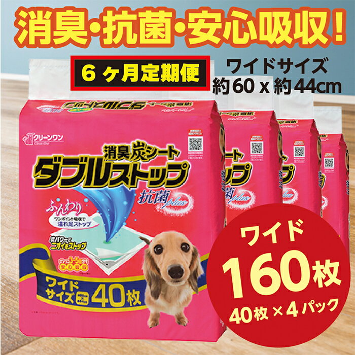 【ふるさと納税】304【6ヶ月連続お届け】定期便 6回 消臭シート ダブルストップ ワイド 40枚×4袋 クリーンワン ペットシーツ 犬用 消臭 抗菌 炭シート ペットシート