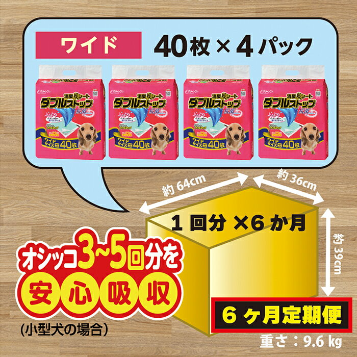 【ふるさと納税】304【6ヶ月連続お届け】定期便 6回 消臭シート ダブルストップ ワイド 40枚×4袋 クリーンワン ペットシーツ 犬用 消臭 抗菌 炭シート ペットシート