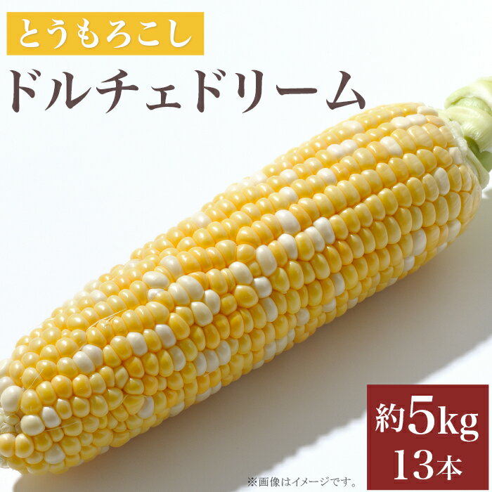 とうもろこし トウモロコシ スイートコーン 朝採れ クール便 先行予約 2024 令和6年 324とうもろこし(ドルチェドリーム) 約5kg 13本 バイカラー 黄 白 茨城 【先行予約 2024年7月頃～発送予定】