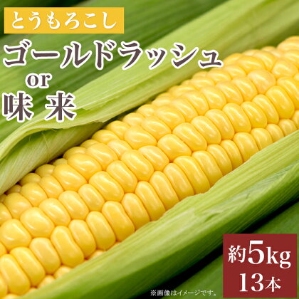 とうもろこし トウモロコシ スイートコーン 朝採れ クール便 先行予約 2024 令和6年 325とうもろこし(ゴールドラッシュor味来) 約5kg 13本 黄 茨城 【先行予約 2024年7月頃～発送予定】