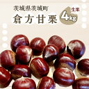 ・ふるさと納税よくある質問はこちら ・寄付申込みのキャンセル、返礼品の変更・返品はできません。 　あらかじめご了承ください。 商品詳細 名称 倉方甘栗 4kg 栗 甘栗 希少品種 数量限定 くり 先行予約 2024年10月頃から発送予定 内容量 倉方甘栗 4kg 産地名 茨城県茨城町産 配送温度帯 冷蔵 賞味期限 冷蔵庫での保管で3か月程度 ※冷蔵庫にて0～5℃での保管を推奨いたします。 ※常温で管理する場合には日の当たりにくい涼しい場所でお早めにお召し上がりください。 申込期日 12月31日までのご入金 発送期日 2024年10月頃から順次発送予定 詳細 ★【2024年10月頃から発送予定】の先行予約品です 倉方甘栗は中国を原産とした甘栗の仲間です。 実の大きさが小ぶりである一方、他の栗の品種よりも甘さ・香り・食感が良く、実が硬くて食べ応えのある特徴で「幻の栗」とも呼ばれる珍しい品種です。 皮がしっかりとしているため、傷みづらく冷蔵庫で保存して甘みを増す作業（糖化）に向いています。 甘み、香りが強いため『焼き栗』にも最適です。ぜひこの機会に茨城町自慢の倉方甘栗をご賞味ください♪ 注意事項 ※お届け日指定はお受けできません。 ※お申込み時に「到着日のご指定」・「曜日指定」はお受けできません。発送完了時にメールにてヤマト運輸のお問い合わせ番号をご連絡させていただきますので、ヤマト運輸に直接ご依頼お願いします。 事業者 藤本真由美