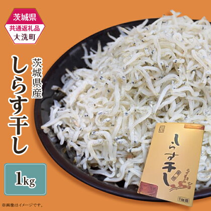 しらす 冷凍 小分け しらす干し しらす丼 389 しらす干し 約1kg(1パック)【茨城県共通返礼品/大洗町】