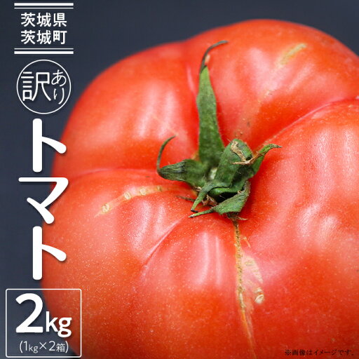 【ふるさと納税】トマト 訳あり フードロス SDGs 茨城町 茨城 484【訳あり】茨城町産トマト 約2kg JA水戸 【ふるさと納税】トマト 訳あり フードロス SDGs 茨城町 茨城 484【訳あり】茨城町産トマト 約2kg JA水戸