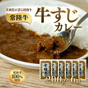【ふるさと納税】カレー 冷凍 レトルト パック 便利 お手軽 湯銭 簡単 本格 牛すじカレー 200g×6個 茨城県 ブランド牛 常陸牛 使用 521(4)