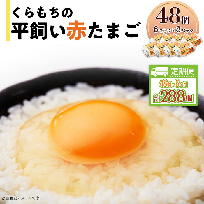 【ふるさと納税】くらもちの農場から平飼いたまご 赤玉子 新鮮 赤玉 定期便 高級 平飼い 健康 飼育 国産 鶏 鳥 鶏卵 卵 タマゴ お菓子 朝食 生卵 卵かけごはん TKG 456 たまご 48個 8パック 定期便 6カ月 計288個 小分け 新鮮 赤 玉子 卵 タマゴ くらもちの農場 平飼い