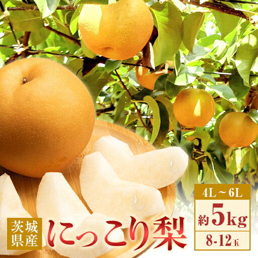 【ふるさと納税】梨 なし にっこり 数量限定 期間限定 甘い フルーツ 10月 354 にっこり梨 約5kg 8~12玉 4L~6L 梨 なし 先行予約 【2025年 10月上旬ころより順次発送予定】 【ふるさと納税】梨 なし にっこり 数量限定 期間限定 甘い フルーツ 10月 354 にっこり梨 約5kg 8~12玉 4L~6L 梨 なし 先行予約 【2025年 10月上旬ころより順次発送予定】