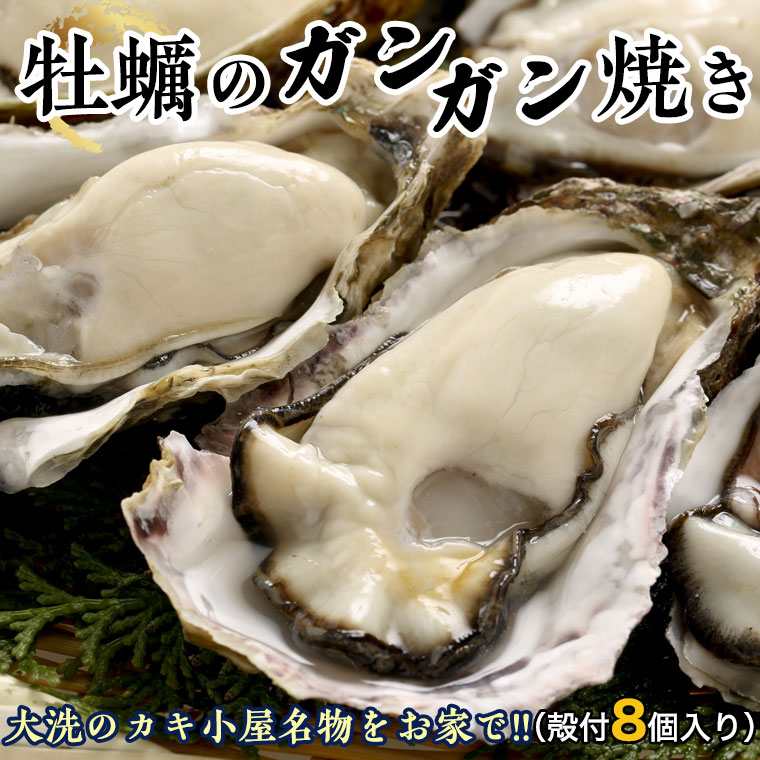 【ふるさと納税】 牡蠣 ガンガン焼き セット 殻付カキ 8個 冷凍 簡単調理 魚介類 カキのサムネイル