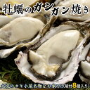 【ふるさと納税】 牡蠣 ガンガン焼き セット 殻付カキ 8個 冷凍 簡単調理 魚介類 カキ